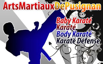 Arts Martiaux de Pusignan - Logo
